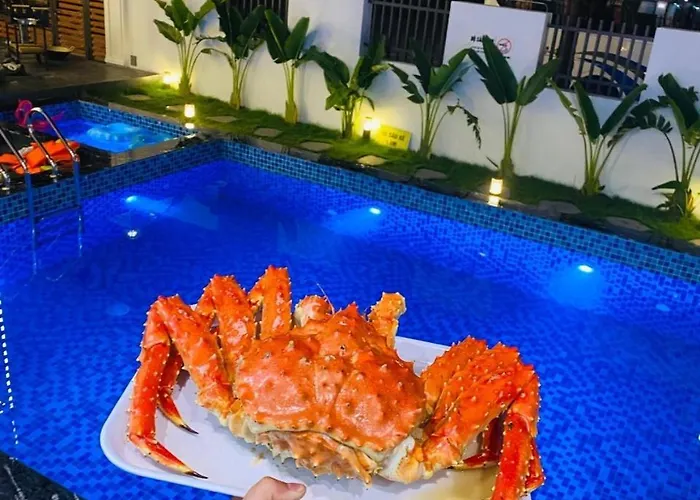 Căn 9 Ngủ Vip Trung Tâm Bãi Cháy Căn hộ